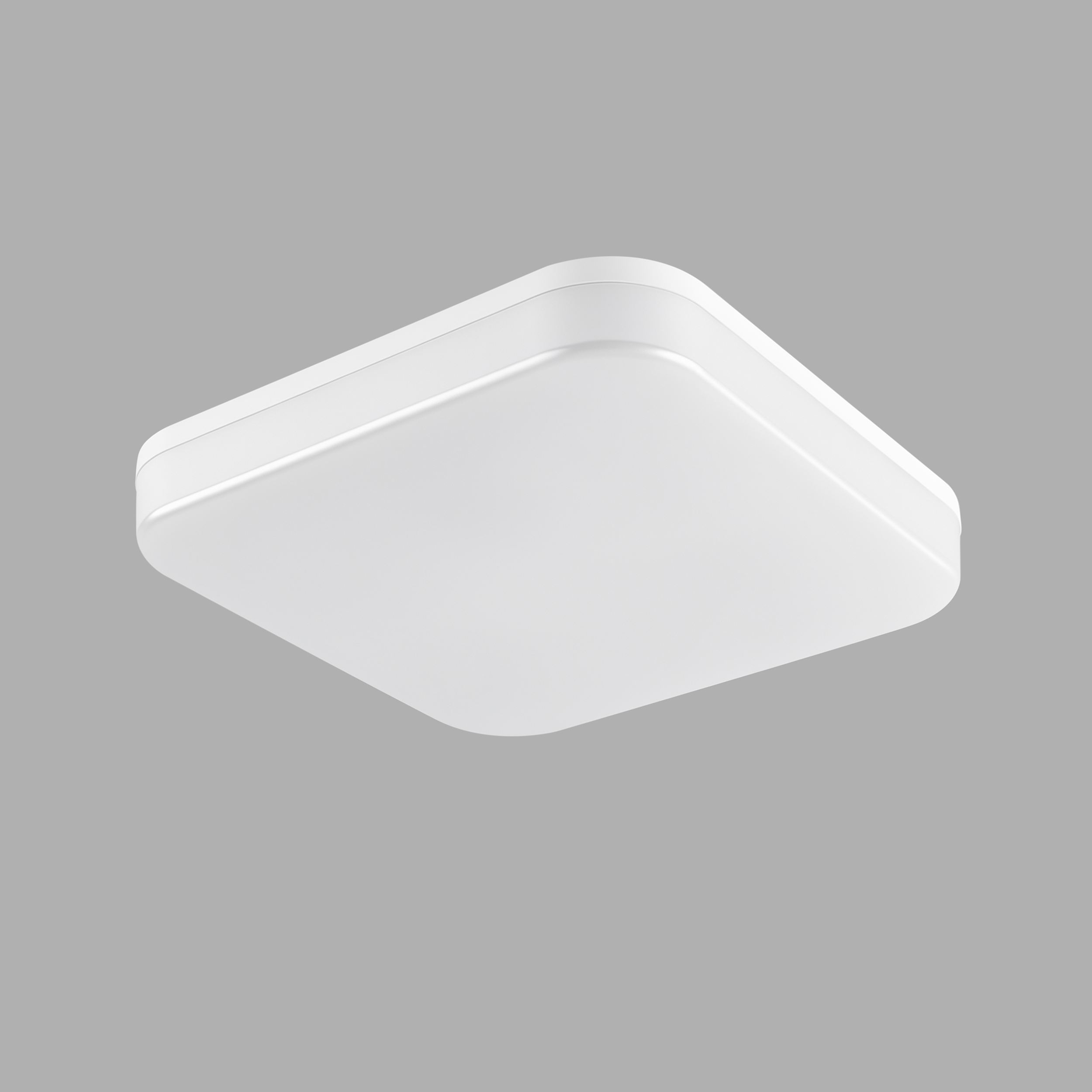Ceiling Lamp